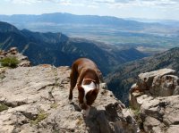 IMG_3104.JPG IMG_3104.JPG