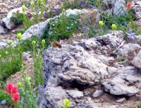 IMG_3107B.JPG IMG_3107B.JPG