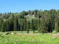 4727 - White Pine Lake.jpg