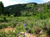 4777 - White Pine Lake.jpg