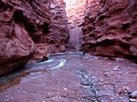 IMG_0658 - Moab09 - Mary Jane Canyon.jpg IMG_0658 - Moab09 - Mary Jane Canyon.jpg