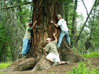 Yellowstone 08\' 039.jpg Yellowstone 08\' 039.jpg