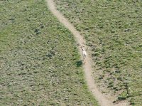 Yellowstone 08\' 115.jpg Yellowstone 08\' 115.jpg