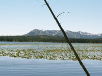 Yellowstone 2010\' 008.jpg Yellowstone 2010\' 008.jpg