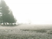 Yellowstone 06\' 177.jpg Yellowstone 06\' 177.jpg