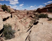 themaze-canyonlands8.jpg themaze-canyonlands8.jpg