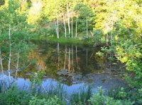 IMG_4424 - Stewart Pass.JPG