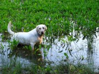 IMG_4437 - Stewart Pass.JPG