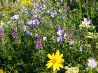 IMG_4463 - Stewart Pass.JPG