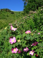 4495 - Stewart Pass.JPG