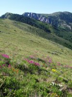 4521 - Stewart Pass.JPG