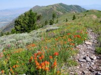 4532 - Stewart Pass.JPG