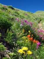 4510 - Stewart Pass.JPG