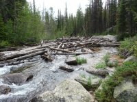 P1080108.JPG P1080108.JPG