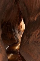 6881973186_e3b60c3fc8.jpg 6881973186_e3b60c3fc8.jpg