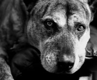 IMG_4748 (2).jpg IMG_4748 (2).jpg