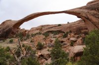 DSC_1129.jpg DSC_1129.jpg