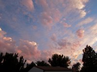 IMG_1073.jpg IMG_1073.jpg