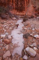 little-death-hollow-escalante-15.jpg