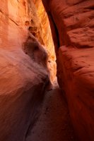 little-death-hollow-escalante-23.jpg