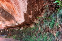 IMG_6726.jpg IMG_6726.jpg