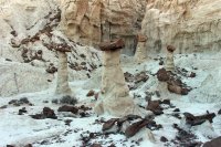 IMG_6699.jpg IMG_6699.jpg