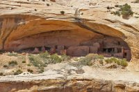 IMG_7264.jpg IMG_7264.jpg