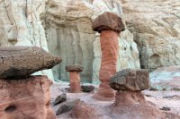 IMG_6686.jpg IMG_6686.jpg