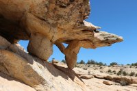 IMG_7262.jpg IMG_7262.jpg