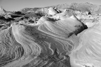 IMG_6717.jpg IMG_6717.jpg