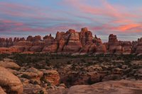 IMG_7656.jpg IMG_7656.jpg