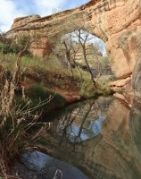 IMG_7477.jpg IMG_7477.jpg