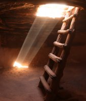 IMG_7290.jpg IMG_7290.jpg