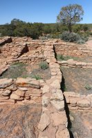 IMG_7248.jpg IMG_7248.jpg