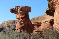 IMG_7619.jpg IMG_7619.jpg