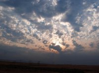 P8101888ed (Large).jpg P8101888ed (Large).jpg