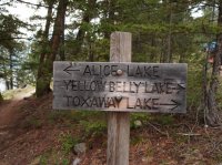 P8101892ed (Large).JPG P8101892ed (Large).JPG