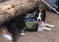 P8101895ed (Large).JPG P8101895ed (Large).JPG