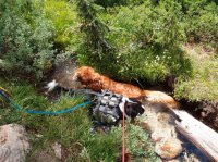 P8101916ed (Large).jpg P8101916ed (Large).jpg