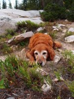 P8101939ed (Large).jpg P8101939ed (Large).jpg