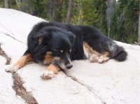 P8101940ed (Large).JPG P8101940ed (Large).JPG