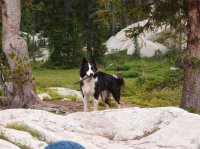 P8101954ed (Large).JPG P8101954ed (Large).JPG