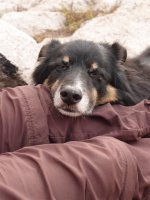 P8101969ed (Large).JPG P8101969ed (Large).JPG