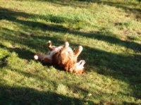 P8111975ed (Large).JPG P8111975ed (Large).JPG