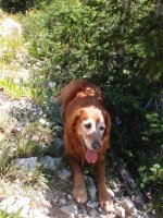 P8111995ed (Large).JPG P8111995ed (Large).JPG