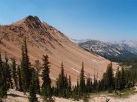 P8112010ed (Large).jpg P8112010ed (Large).jpg