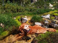 P8112019ed (Large).jpg P8112019ed (Large).jpg