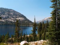 P8112042ed (Large).jpg P8112042ed (Large).jpg