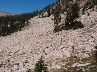 P8112046ed (Large).jpg P8112046ed (Large).jpg