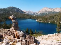 P8112051ed (Large).jpg P8112051ed (Large).jpg